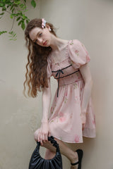 Rose Garden Fairy Dress