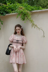 Rose Garden Fairy Dress
