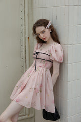 Rose Garden Fairy Dress