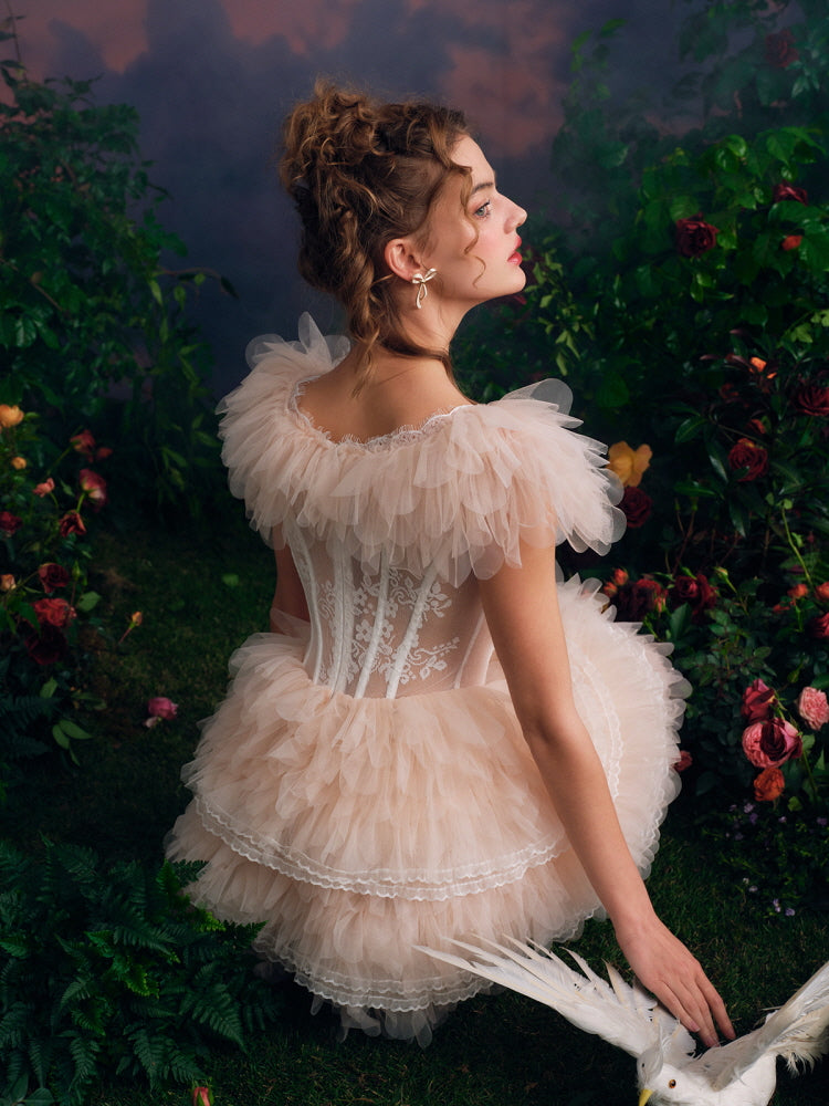 Swan Lake Tulle Corset Dress