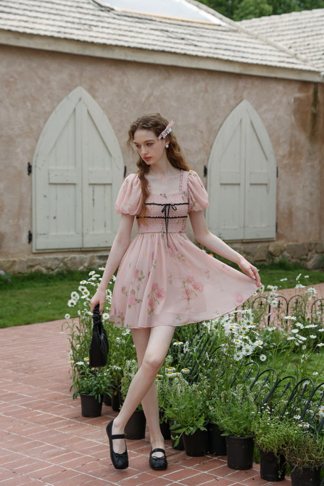 Rose Garden Fairy Dress
