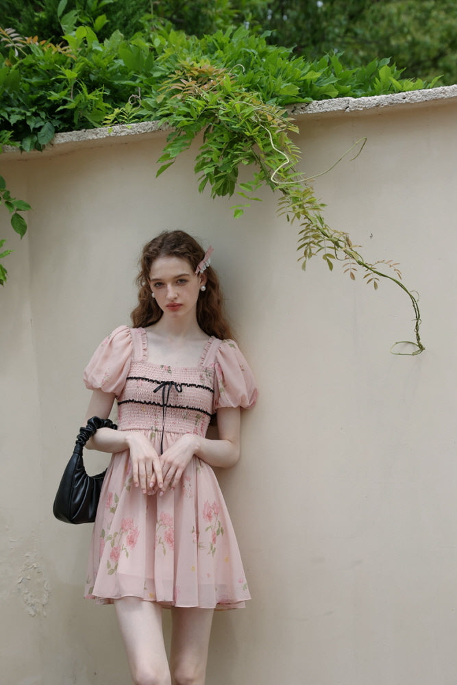 Rose Garden Fairy Dress