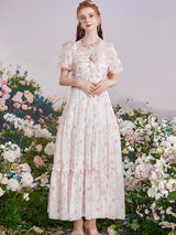 Enchanted Rosewater Waltz Dress