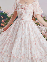 Enchanted Rosewater Waltz Dress