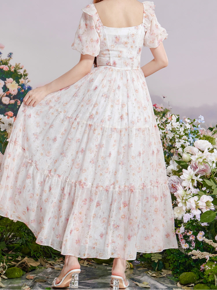 Enchanted Rosewater Waltz Dress