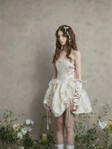 Celestial Lace Corset Dress