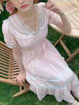 Blush Garden Waltz Dress