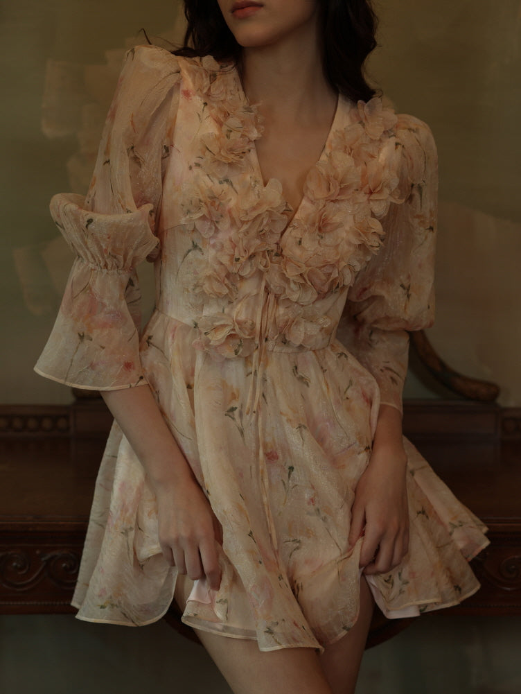 Rosé Garden Petal Dress