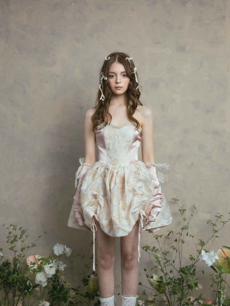 Celestial Lace Corset Dress