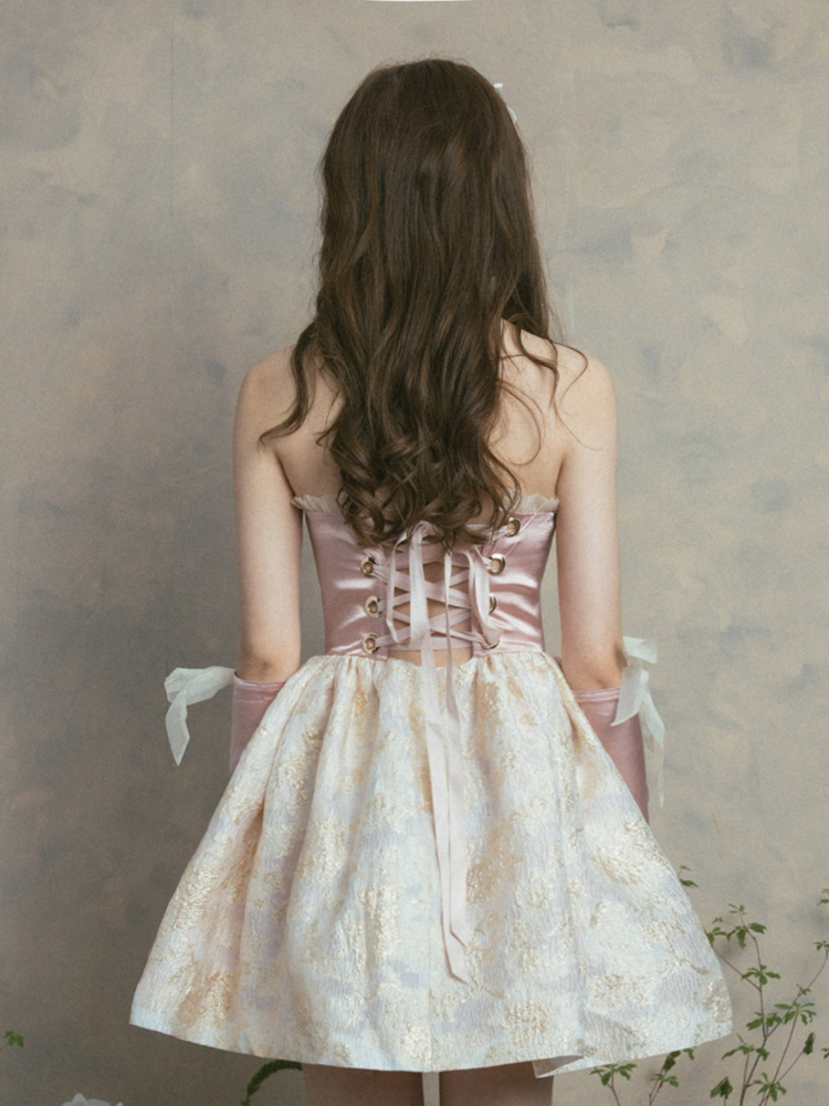 Celestial Lace Corset Dress