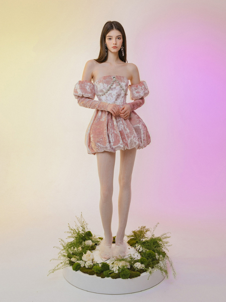 Rose Velvet Dress