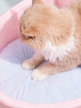 Soft Plush Pink Bathtub Shower Pet Cats Dogs Beds House