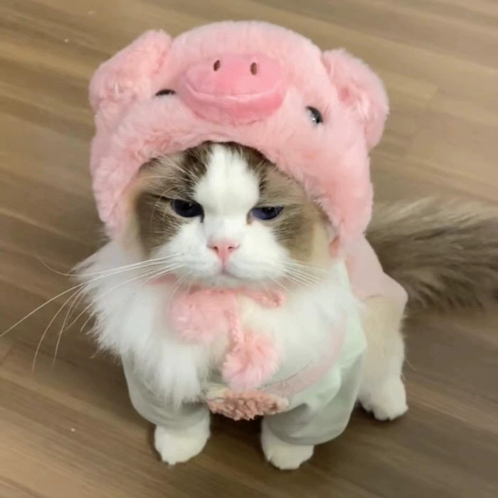 Cat Headband, Cute Piggy Hat