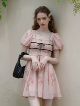 Rose Garden Fairy Dress