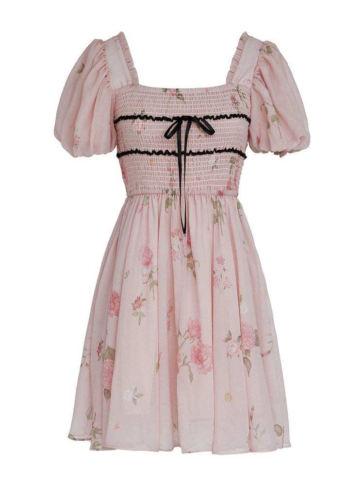Rose Garden Fairy Dress