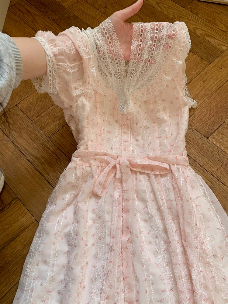 Blush Garden Waltz Dress