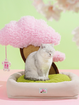 Sakura Blossom Tree Scratch Board Pet Cats Dogs Beds Mat House