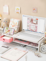 Sweet Pink Heart Desktop Storage Monitor Stand